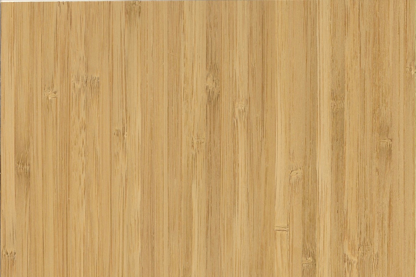 Bamboe side pressed caramel